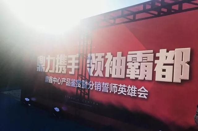 鼎力攜手，領(lǐng)袖霸都！合肥鼎鑫中心產(chǎn)品鑒賞暨分銷(xiāo)誓師英雄會(huì )圓滿(mǎn)落幕！