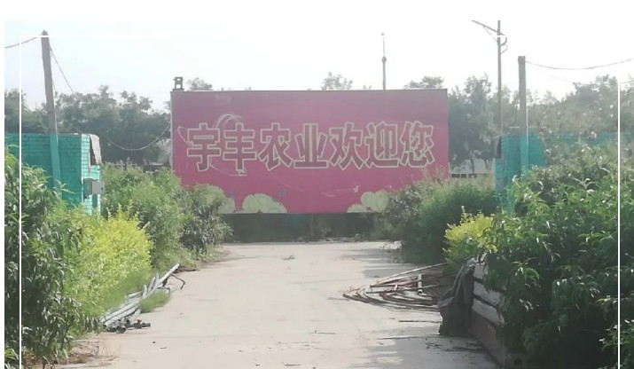 建一個(gè)市場(chǎng)、興一方產(chǎn)業(yè)、富一方百姓，孝義農產(chǎn)品大市場(chǎng)產(chǎn)供銷(xiāo)一體化在行動(dòng)！