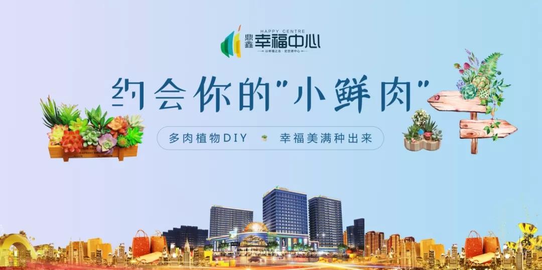 約會(huì )你的“小鮮肉” 多肉植物DIY，幸福美滿(mǎn)種出來(lái)