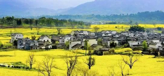 國務(wù)院總理李強：全面推進(jìn)鄉村振興要關(guān)注三個(gè)關(guān)鍵詞