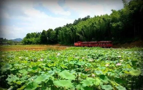 農業(yè)農村部：預計未來(lái)5到10年，農業(yè)農村投資需求近15萬(wàn)億元