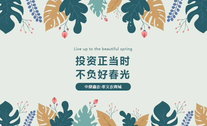 孝義唯一大產(chǎn)權的農批商鋪，投資有保障！
